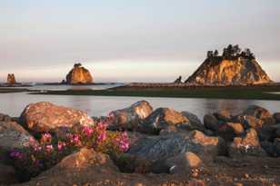 La Push-2274